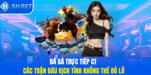 1-da-ga-truc-tiep-c1-cac-tran-dau-kich-tinh-khong-the-bo-lo