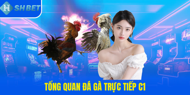 Tổng quan đá gà trực tiếp C1