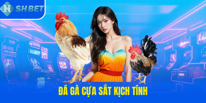 Đá gà cựa sắt kịch tính