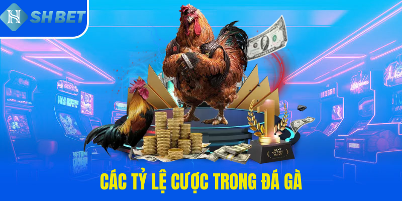 Các tỷ lệ cược trong đá gà