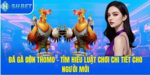 Hình thức thi đấu đều mang đến những trải nghiệm thú vị và hấp dẫn 