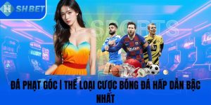 Da-Phat-Goc-The-Loai-Cuoc-Bong-Da-Hap-Dan-Bac-Nhat