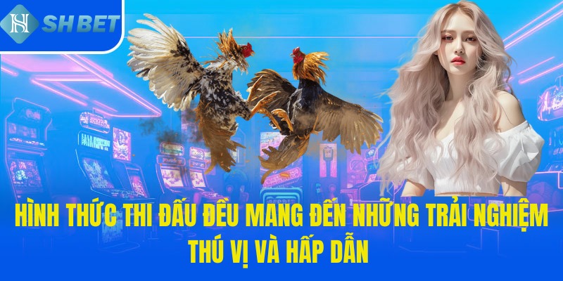 Hình thức thi đấu đều mang đến những trải nghiệm thú vị và hấp dẫn 