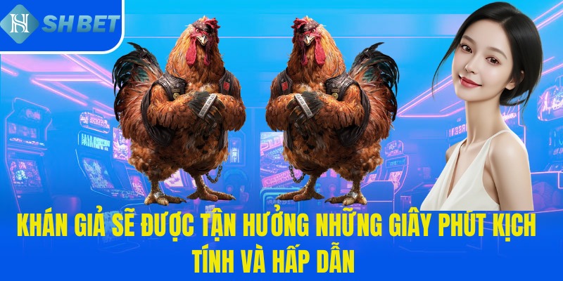 Khán giả sẽ được tận hưởng những giây phút kịch tính và hấp dẫn 