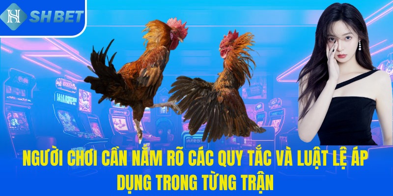 Người chơi cần nắm rõ các quy tắc và luật lệ áp dụng trong từng trận