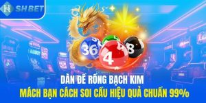 dan-de-rong-bach-kim-mach-ban-cach-soi-cau-hieu-qua-chuan-99