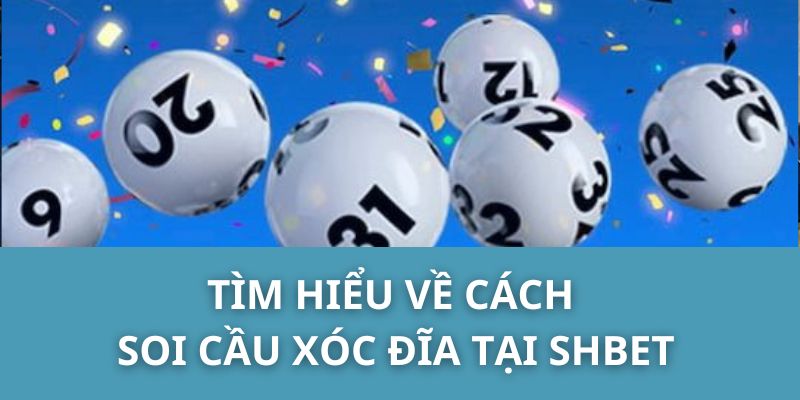 Tìm Hiểu Về Cách Soi Cầu Xóc Đĩa Tại SHBET