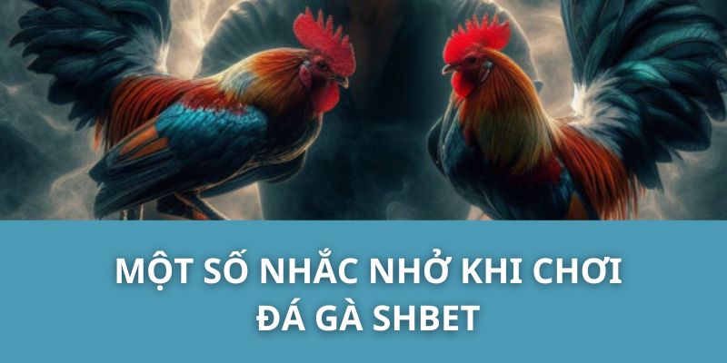 Một Số Nhắc Nhở Khi Chơi Đá Gà SHBET