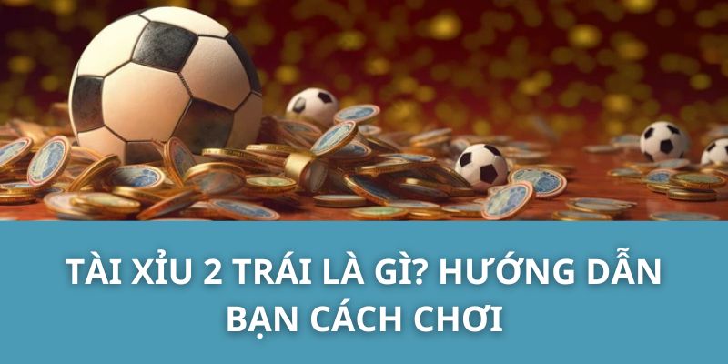 Tài Xỉu 2 Trái Là Gì? Hướng Dẫn Bạn Cách Chơi