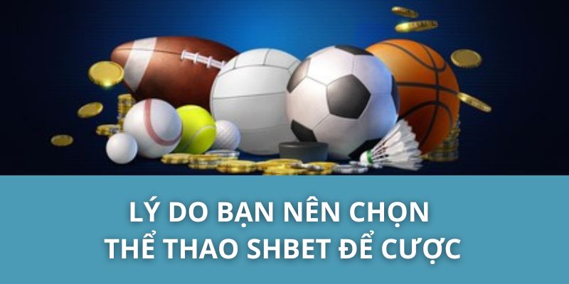 Lý Do Bạn Nên Chọn Thể Thao SHBET Để Cược