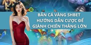 Bắn Cá Vàng SHBET - Hướng Dẫn Cược Để Giành Chiến Thắng Lớn