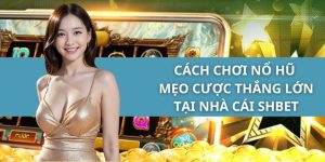 Cách Chơi Nổ Hũ - Mẹo Cược Thắng Lớn Tại Nhà cái SHBET