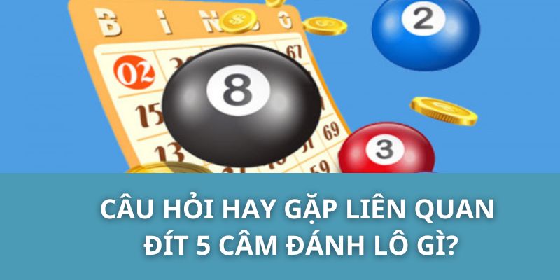 Câu hỏi hay gặp liên quan Đít 5 Câm đánh lô gì?