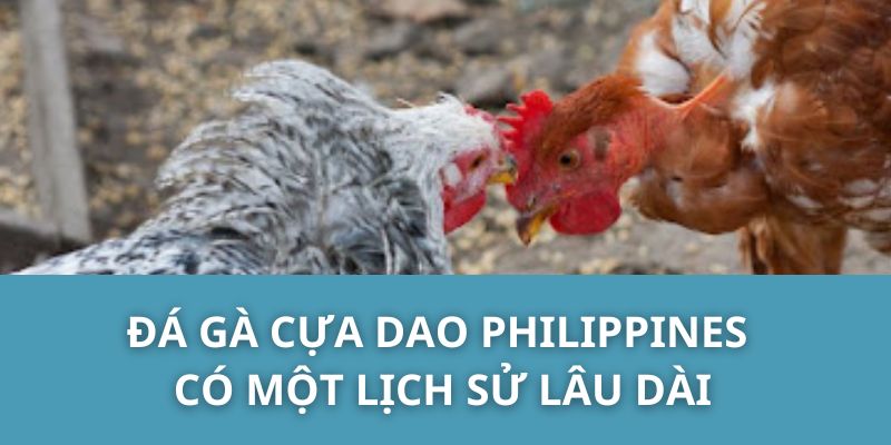 Đá gà cựa dao Philippines có một lịch sử lâu dài