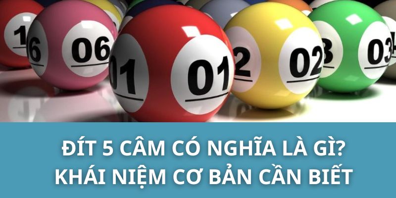 Đít 5 Câm có nghĩa là gì? Khái niệm cơ bản cần biết