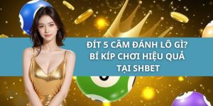 Đít 5 Câm Đánh Lô Gì? Bí Kíp Chơi Hiệu Quả Tại SHBET