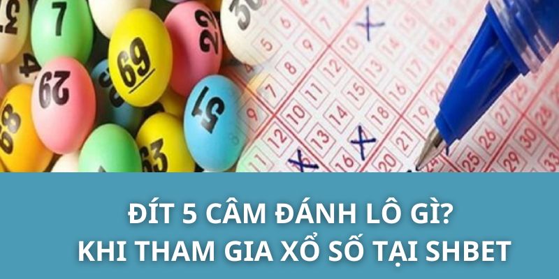 Đít 5 Câm đánh lô gì? khi tham gia xổ số tại SHBET