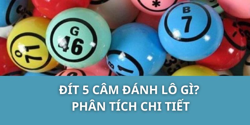 Đít 5 Câm đánh lô gì? Phân tích chi tiết