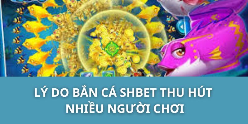 Lý do bắn cá SHBET thu hút nhiều người chơi