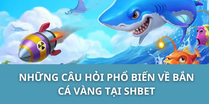 Những câu hỏi phổ biến về bắn cá vàng tại SHBET