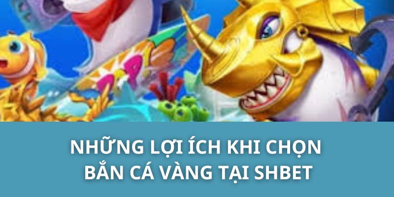 Những lợi ích khi chọn bắn cá vàng tại SHBET