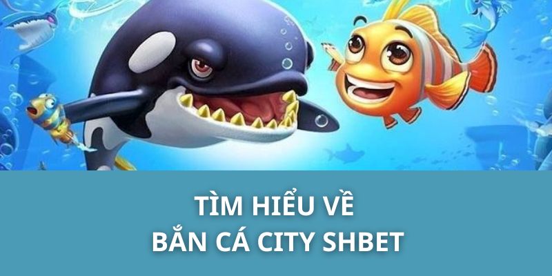 Tìm hiểu về bắn cá City SHBET